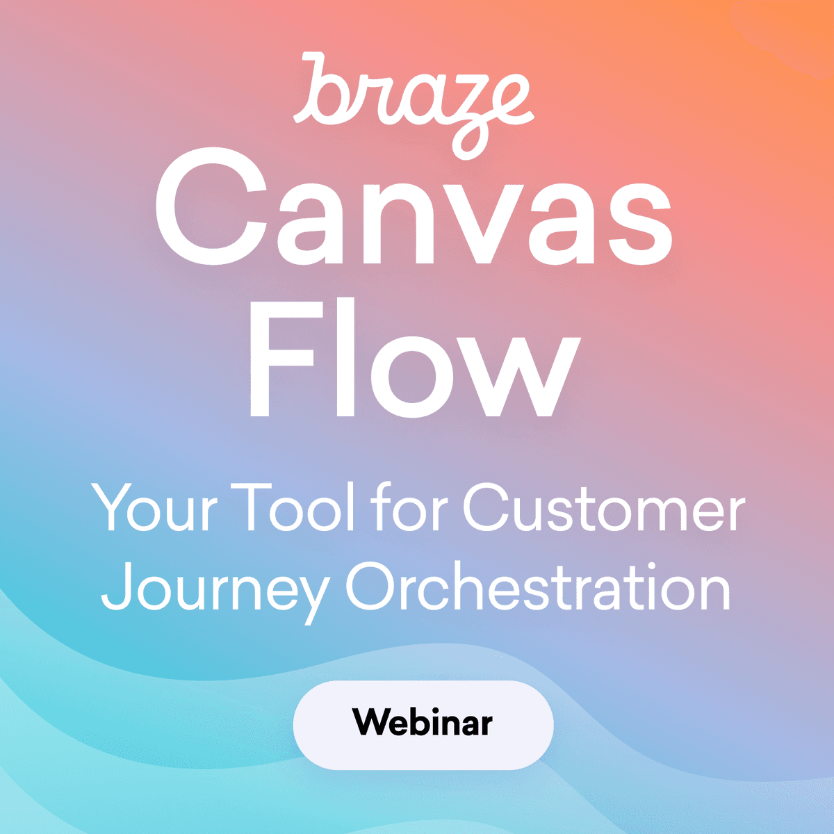 Braze Canvas Flow: Your Tool for Customer Journey Orchestration