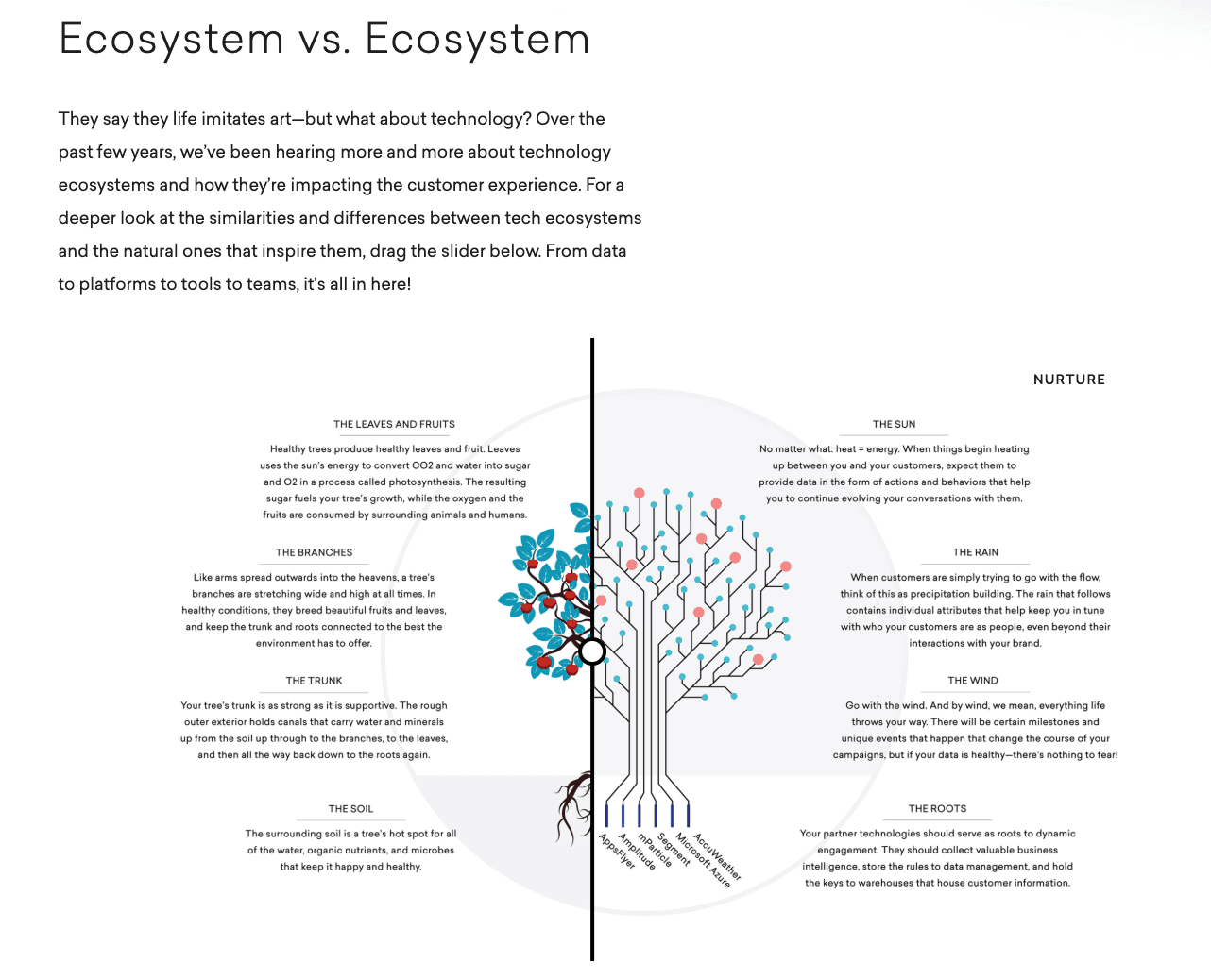 The Intuition Issue’s Ecosystem vs. Ecosystem interactive infographic