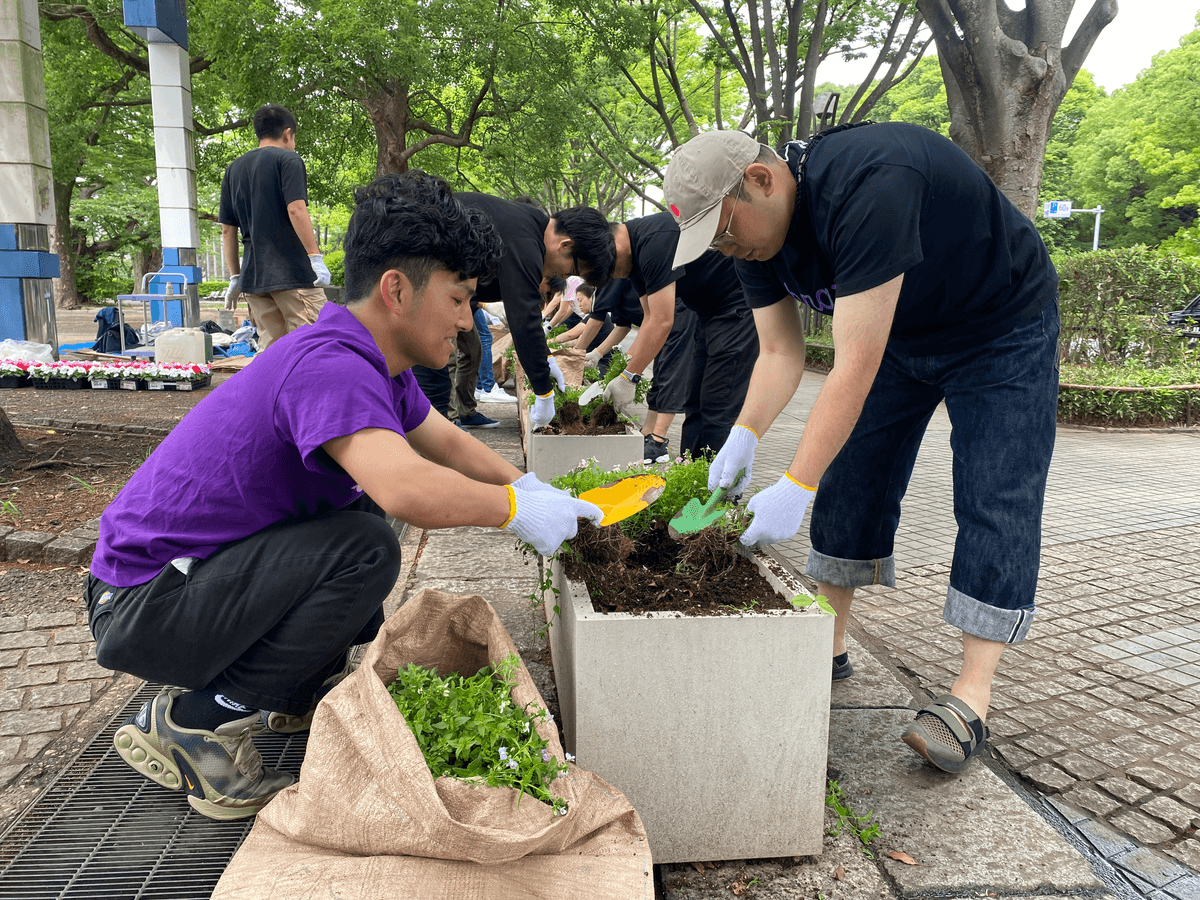a man wearing a purple shirt is planting flowers