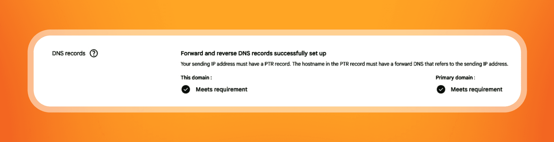 dns records