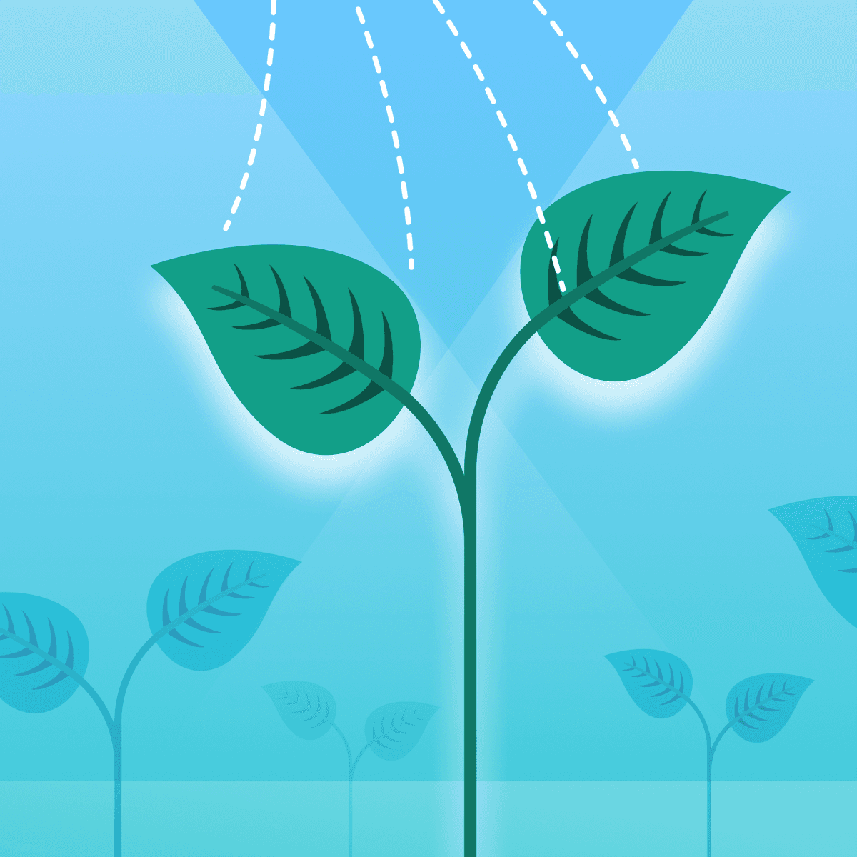 The Ultimate Guide to Growth Marketing