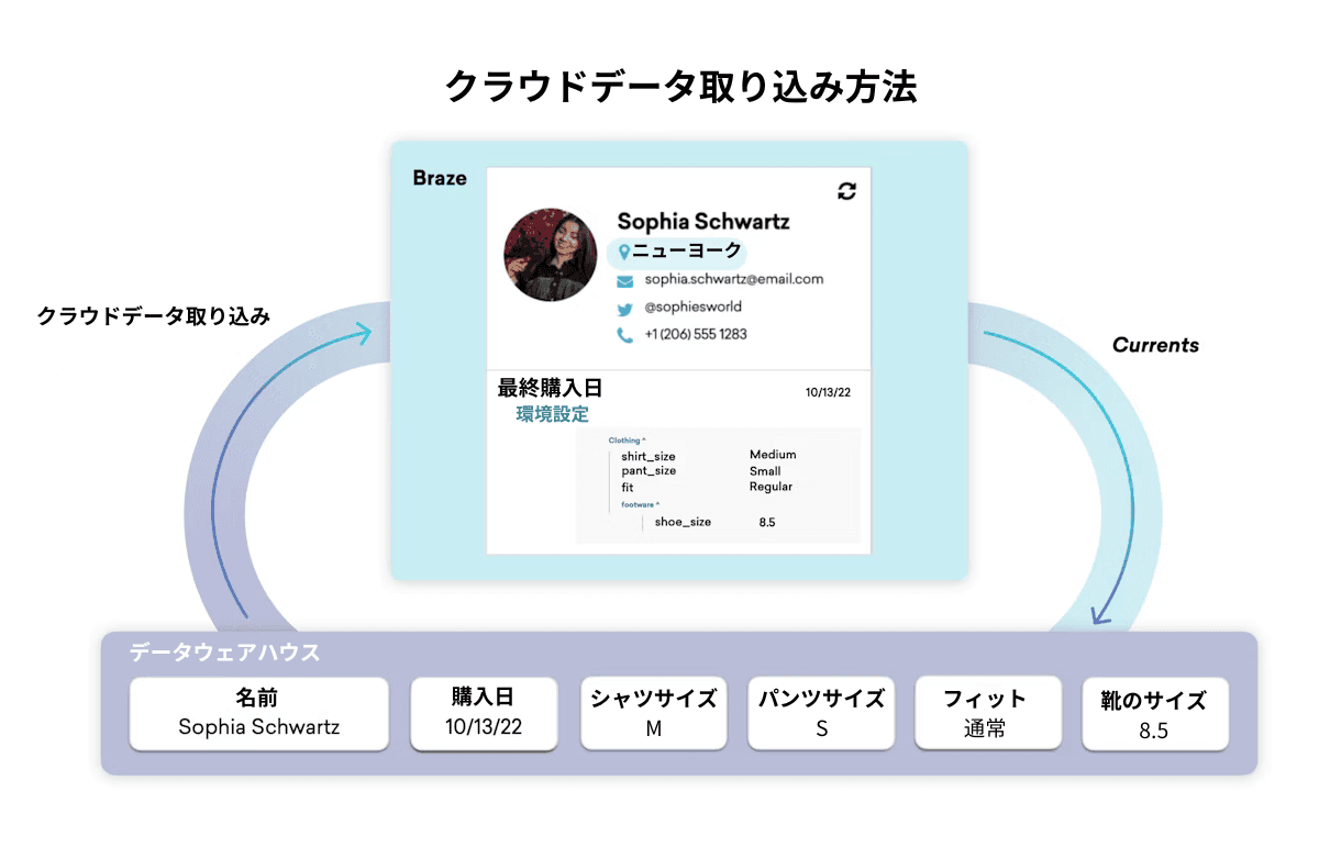 a diagram of sophia schwartz 's profile on braze