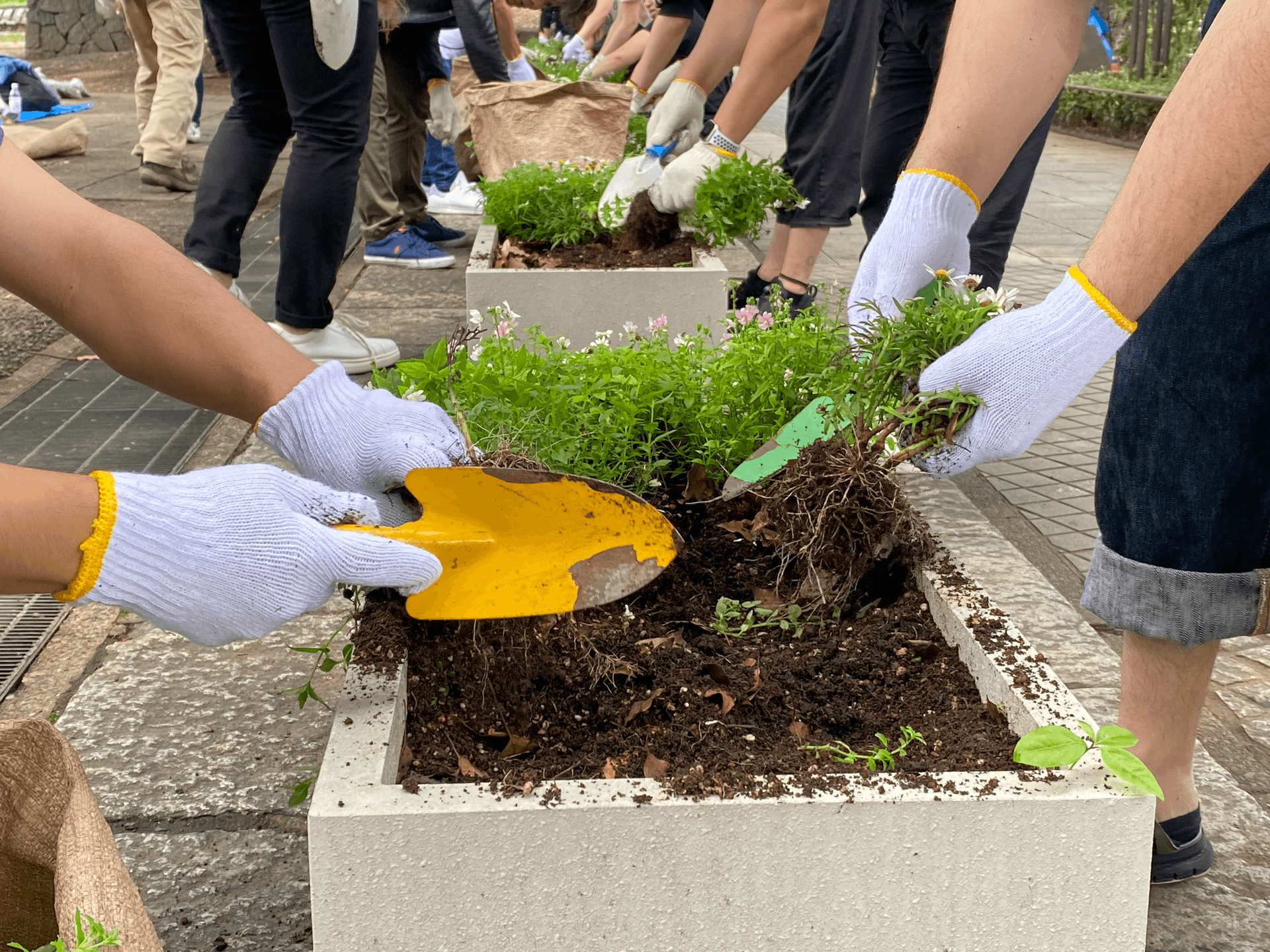 a person wearing white gloves is holding a yellow shovel