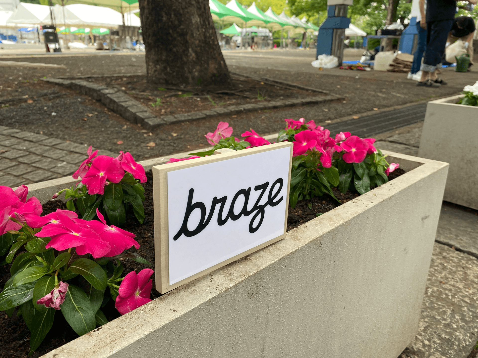 a planter with pink flowers and a sign that says braze
