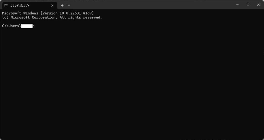 アイコンをクリックしコマンドプロンプトが現れる画像