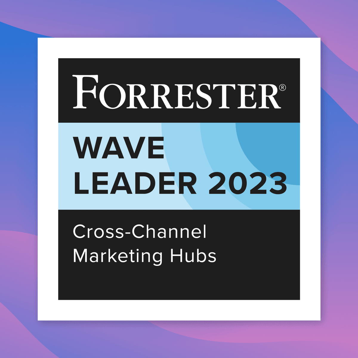 Braze is Named a Leader for Cross-Channel Marketing Hubs